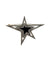 Pin-star onyx-argent.jpg
